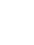 Input Fields